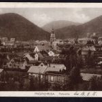 Ansichtskarte Friedrichroda Panorama gelaufen 1915