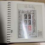 Sammlung Paul Rubens aus Sieger Abo - postfrisch in 2 Ringbindern