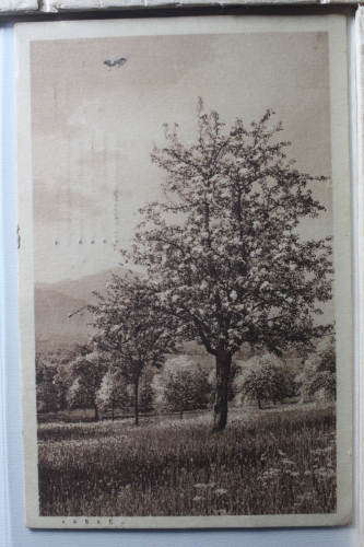 AK Deutschland Grußkarte 1921 gebraucht #PF365