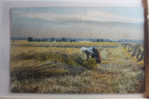 AK Russland Grußkarte 1909 gebraucht #PF871