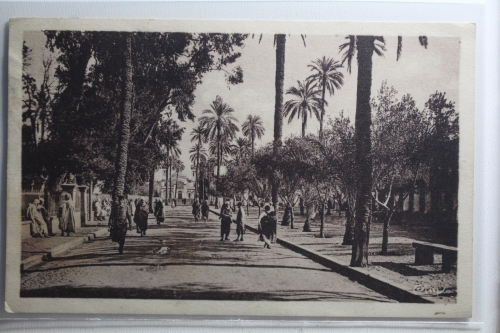 AK Laghouat Algerien Ortsansicht gebraucht #PH335