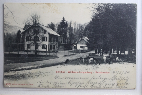 AK Sihltal Wildpark-Langenberg - Restauration 1904 gebraucht #PH425