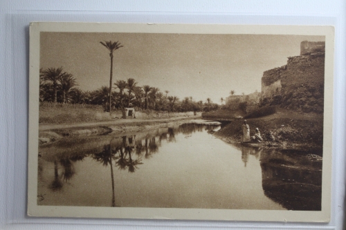 AK Témacin (Algerien) Les remprts ungebraucht #PH547