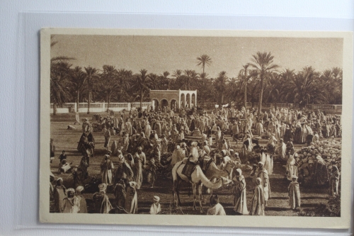 AK Touggourt (Algerien) Le marché et Poasis ungebraucht #PH550