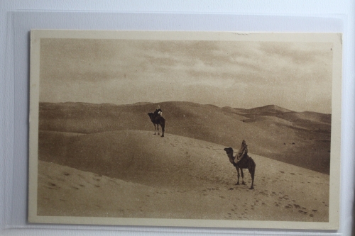 AK Touggourt (Algerien) La mer de sabie ungebraucht #PH549