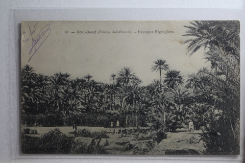 AK Algerien Beni-Qunit - Paysages Figuigiens 1904 gebraucht #PH548