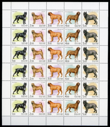 Russland Großbogen 971-75 postfrisch Hunde #JD458