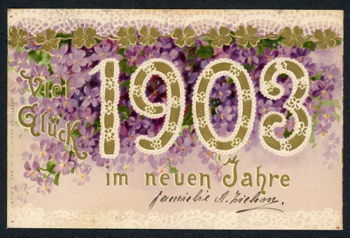 AK Neujahrs-Grußkarte Reliefkarte 1903 gebraucht #HU431