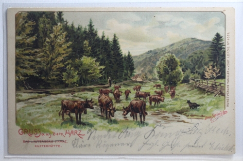 AK Bad Lauterberg / Harz Künstlerkarte (Erw. Spindler) 1901 gebraucht #PI204