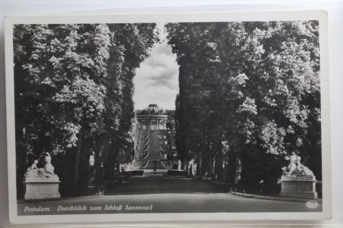 AK Potsdam Durchblick zum Schloss Sanssouci ungebraucht #PI225