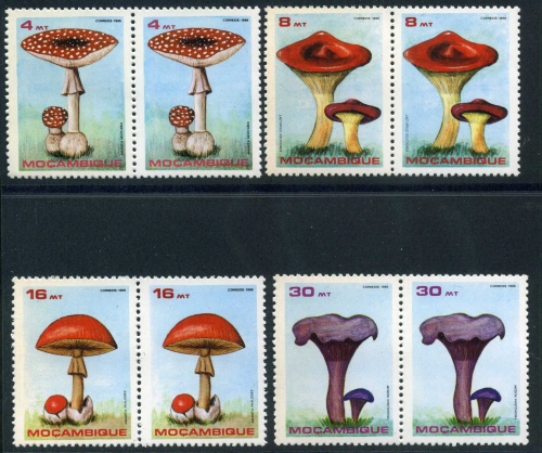 Mosambik 1057-60 postfrisch Pilze #JS146