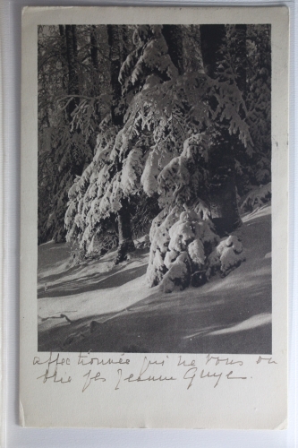 AK Schweiz Grußkarte 1929 gebraucht #PI379