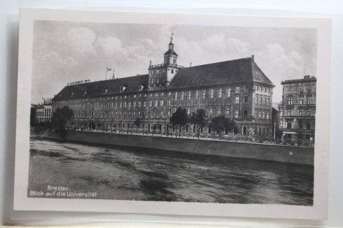 AK Breslau Blick auf die Universität ungebraucht #PI457