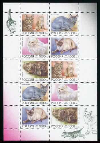 Russland Kleinbogen 485-489 postfrisch Katzen #HX219