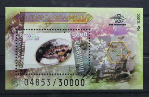 Indonesien Block 158 mit 1992 postfrisch