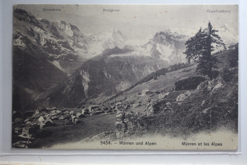 AK Mürren und Alpen 1909 gebraucht #PI554