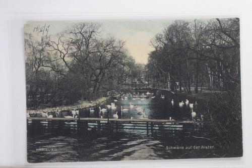 AK Hamburg Schwäne auf der Alster ungebraucht #PI924