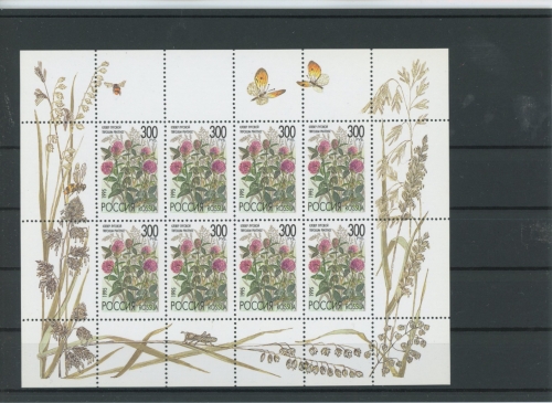 Russland Kleinbogen 437 postfrisch Blumen #JK512