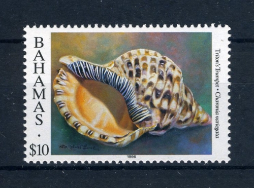 Bahamas 914 I postfrisch Muscheln/ Schnecken #JK378