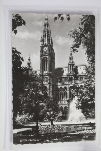 AK Wien Rathaus 1961 gebraucht #PJ600