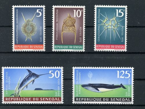 Senegal 505-509 postfrisch Fische #HK915