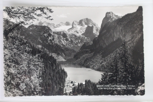 AK Gosauses mit Dachstein 3004 m v. Weg zur Zwieselalm 1584 m ungebraucht #PK461