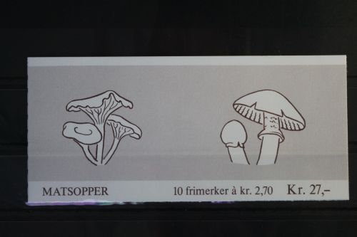 Norwegen MH 10 gestempelt als Markenheftchen #WE152