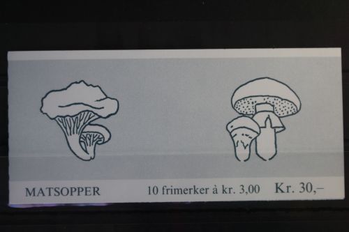 Norwegen MH 13 postfrisch als Markenheftchen #WE157