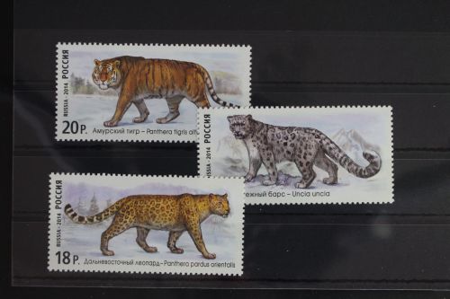 Russland 2105-2107 postfrisch #FD099