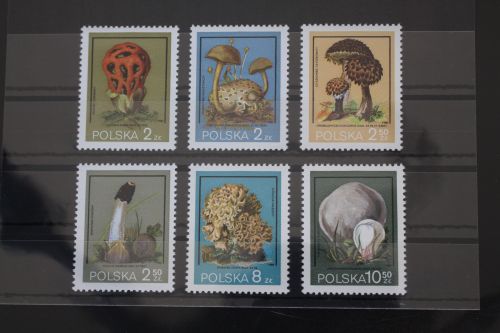 Polen 2693-2698 postfrisch #FF237
