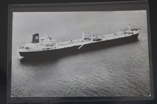 AK Niederlande MS Dallia, Baujahr 1967 gebraucht #PM106