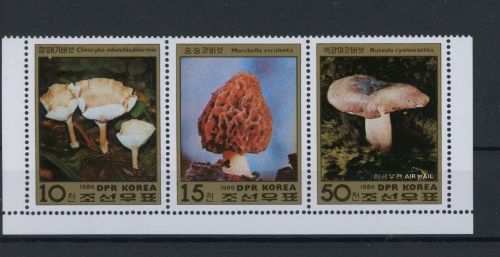 Korea Nord Dreierstreifen 2791-2793 postfrisch Pilze #JQ989
