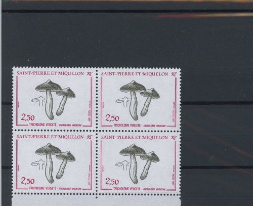 St. Pierre und Miquelon Viererblock 569 postfrisch Pilze #JO758