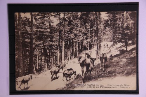 Frankreich Postkarte mit Stempel Olympische Spiele 1920 #GF573