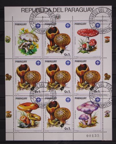 Paraguay Kleinbogen 3841 gestempelt