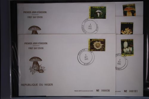 Niger 962-966 gestempelt