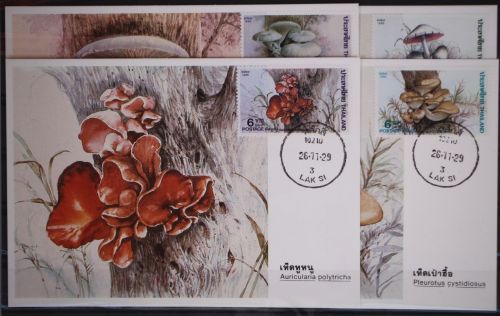 Maximumkarten Thailand 1183-1186 gestempelt Ersttagsstempel/ Pilze #GC052