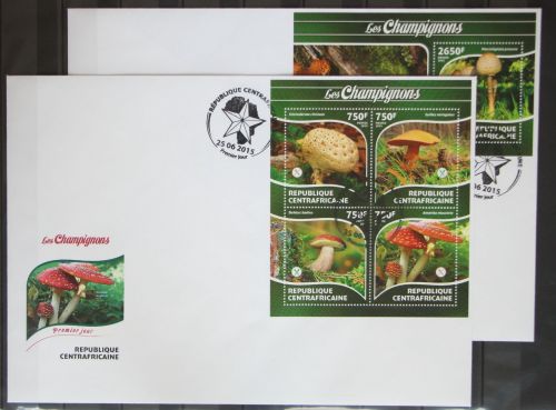 Zentralafrikanische Republik 5395-5398, Block 1296 gestempelt als FDC #GG269