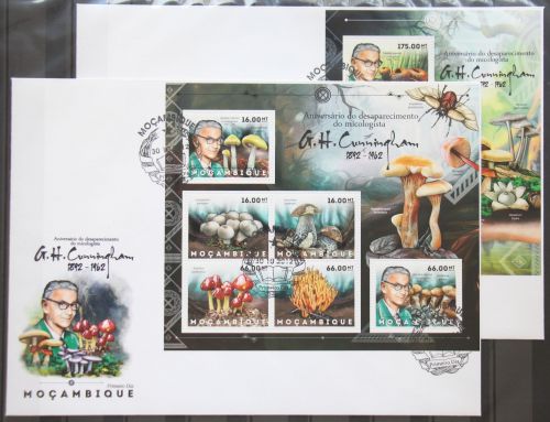 Mosambik 6160-6165 und Block 690 gestempelt Kleinbogen / als FDC #GG546