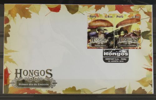Peru 2463 und 2464 gestempelt Paar / als FDC #GG322