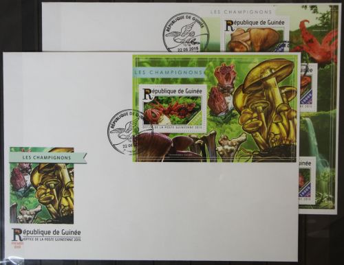 Guinea 11038-11041 und Block 2504 gestempelt Kleinbogen / als FDC #GG443