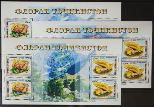 Tadschikistan 163 und 164 postfrisch Kleinbögen, mit Aufdruck #GH354