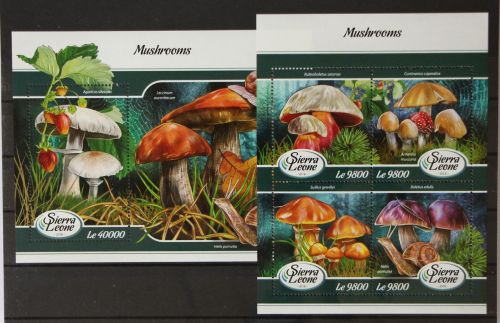 Sierra Leone 9240-9243 und Block 1377 postfrisch Kleinbogen / Pilz #GH479