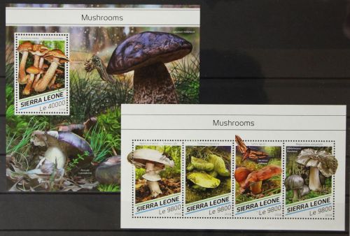 Sierra Leone 9734-9737 und Block 1475 postfrisch Kleinbogen / Pilz #GH483