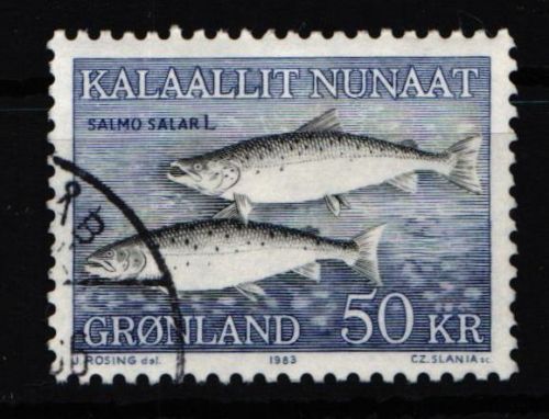 Grönland 140 gestempelt Fische Marke zu 50 Kr. #HT043