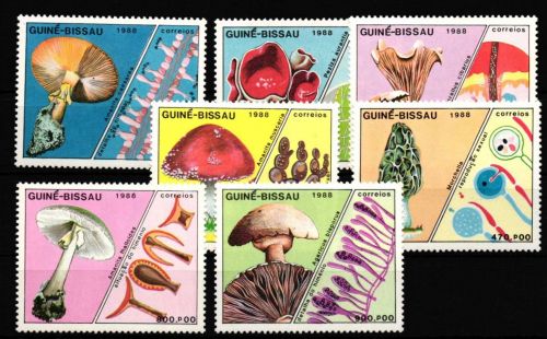 Guinea Bissau 989-995 postfrisch