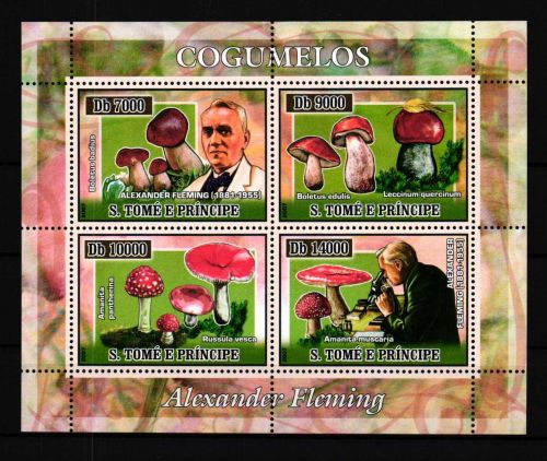 Sao Tome e Principe 2968-2971 postfrisch Kleinbogen / Pilze #GY978