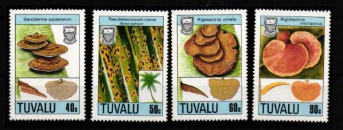 Tuvala 518-521 postfrisch Pilze #HQ087
