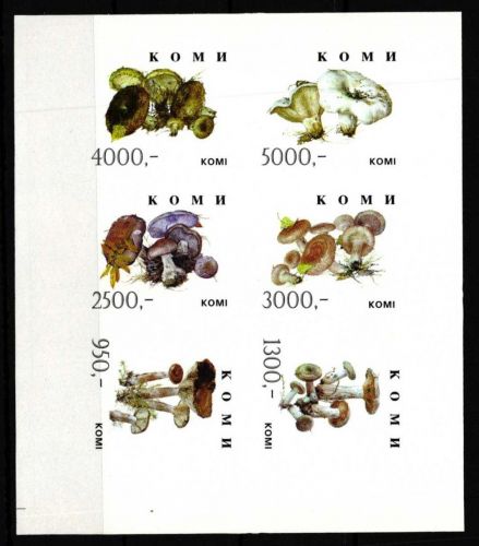 Russland Komi Vignette B postfrisch Pilze #HQ212