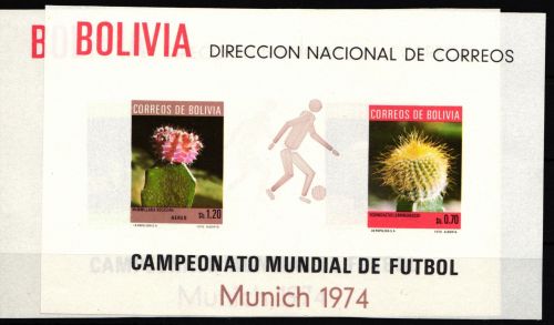 Bolivien Block 35 und 36 postfrisch Fußball #IE011